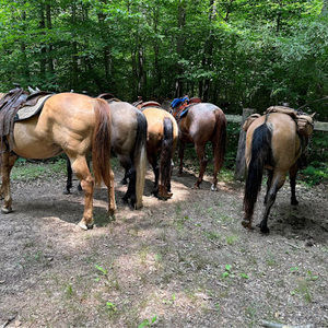 Meet your Posher, Robyn